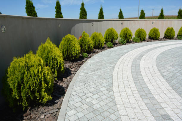 Best Driveway Paving Contractor  in Rio Dell, CA